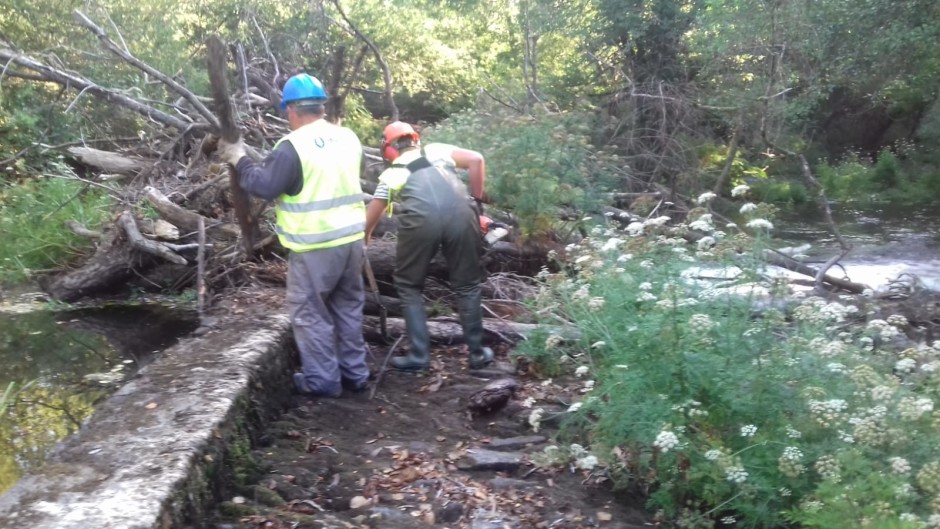 A Xunta executa traballos de conservación e limpeza nos treitos interurbanos do río Tambre, nas áreas recreativas da Presa e Os Pasos 